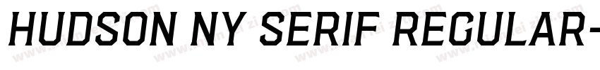 Hudson NY Serif Regular字体转换